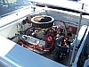 100_3355.JPG