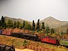 DSCF1544.jpg